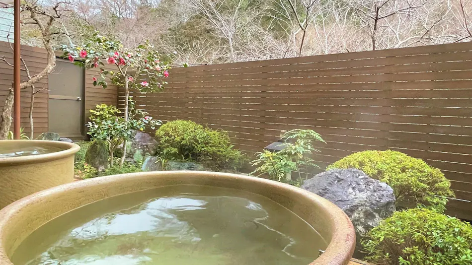 Dochu Land Shin Onsen