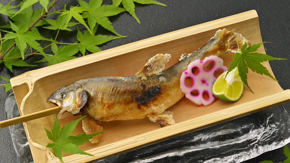 Dochu Land Shin Onsen