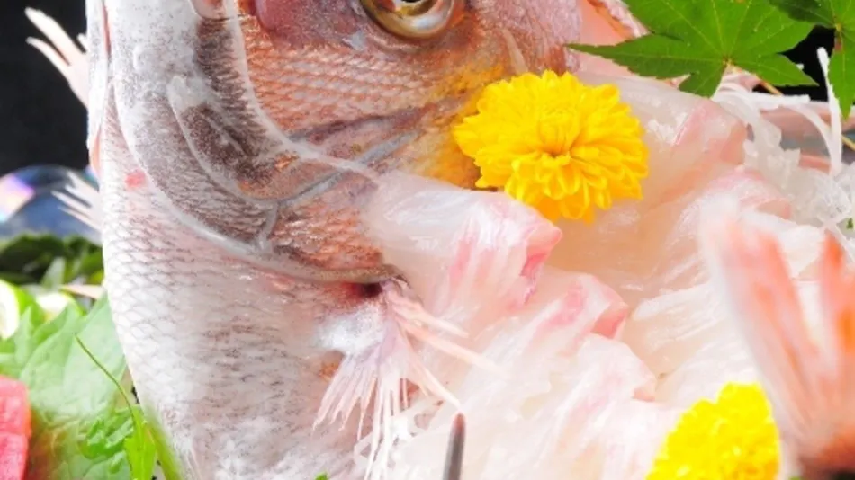 Dochu Land Shin Onsen