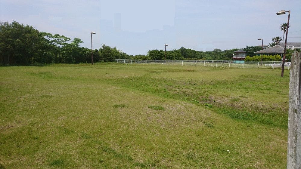 강아지와 놀 수 있는 광장