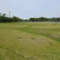 강아지와 놀 수 있는 광장