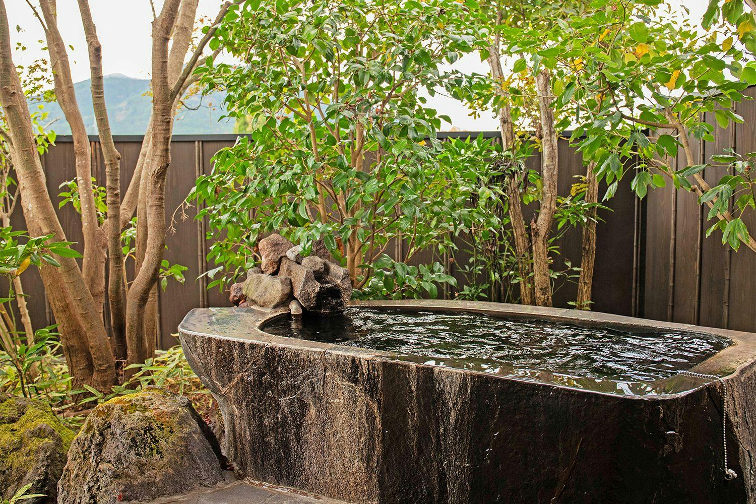 Yufuin Onsen Ryokan Hananomai