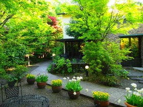 山紫御泊処　はなの舞