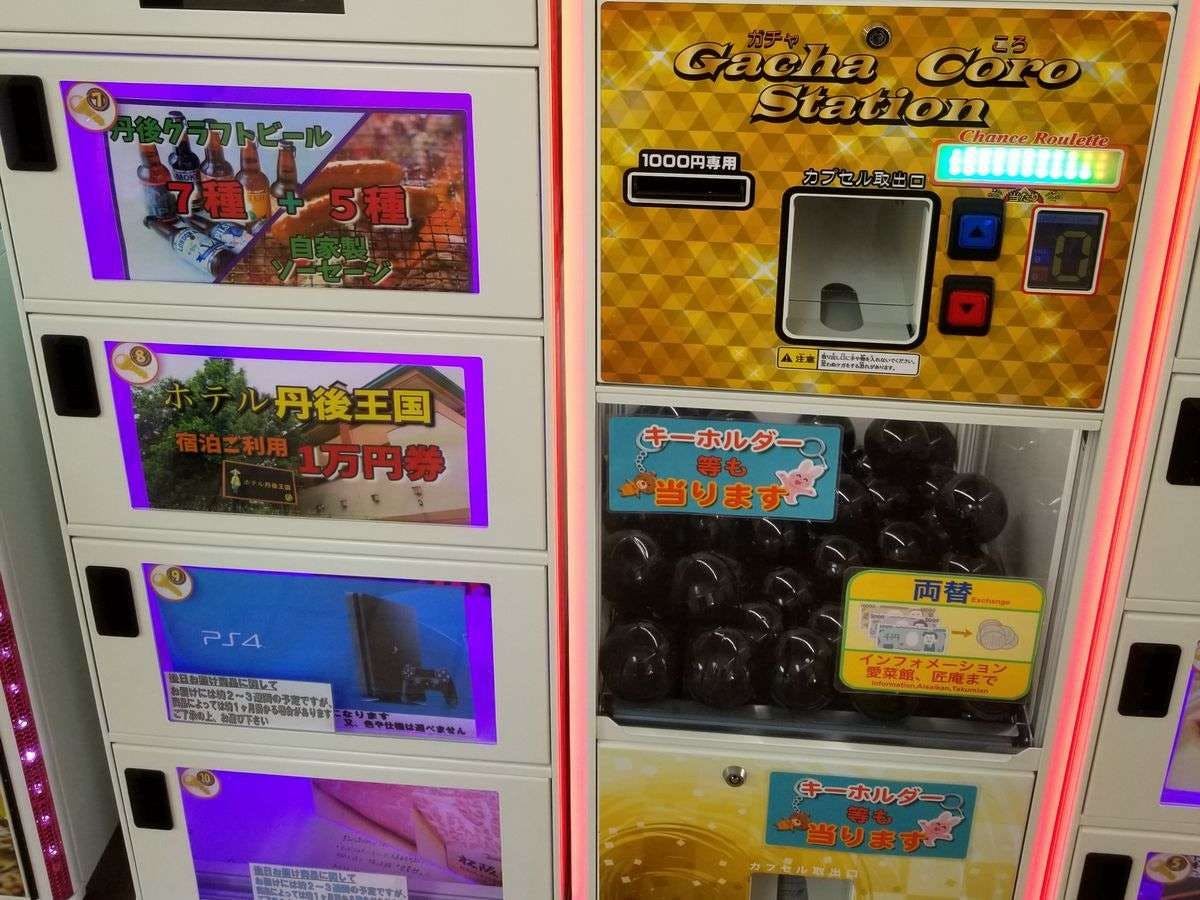 ホテル丹後王国 朝夕食付き無料宿泊券 4人まで （和歌山県の農家民泊 