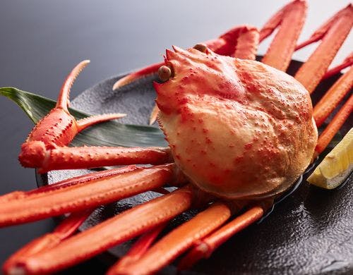 コスパ最強茹で蟹（香住蟹）