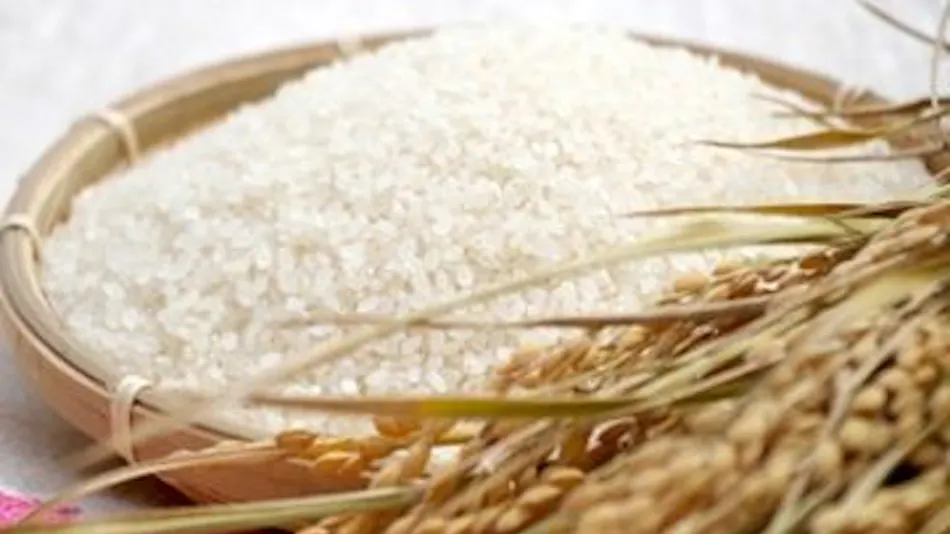 Delicious Full Bloom Nayo House