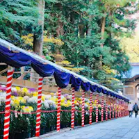 เทศกาลดอกเบญจมาศยะฮิโกะ