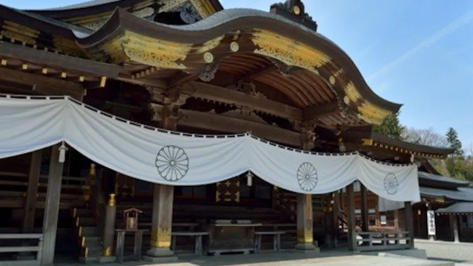 Delicious Full Bloom Nayo House