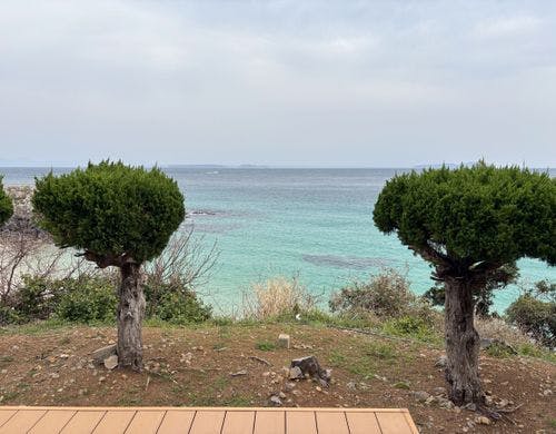 テラス付きの客室です。