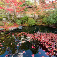 ตัวอย่างสวน