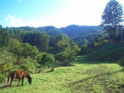 Yasuragi no Bettei Shikitei