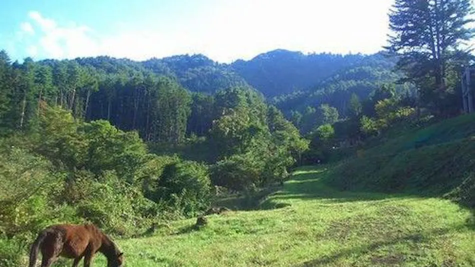 Yasuragi no Bettei Shikitei