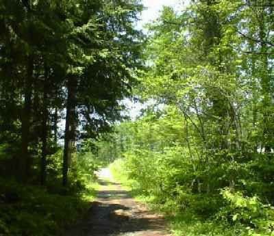 Yasuragi no Bettei Shikitei