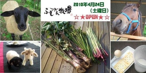 ฟาร์มเปิด