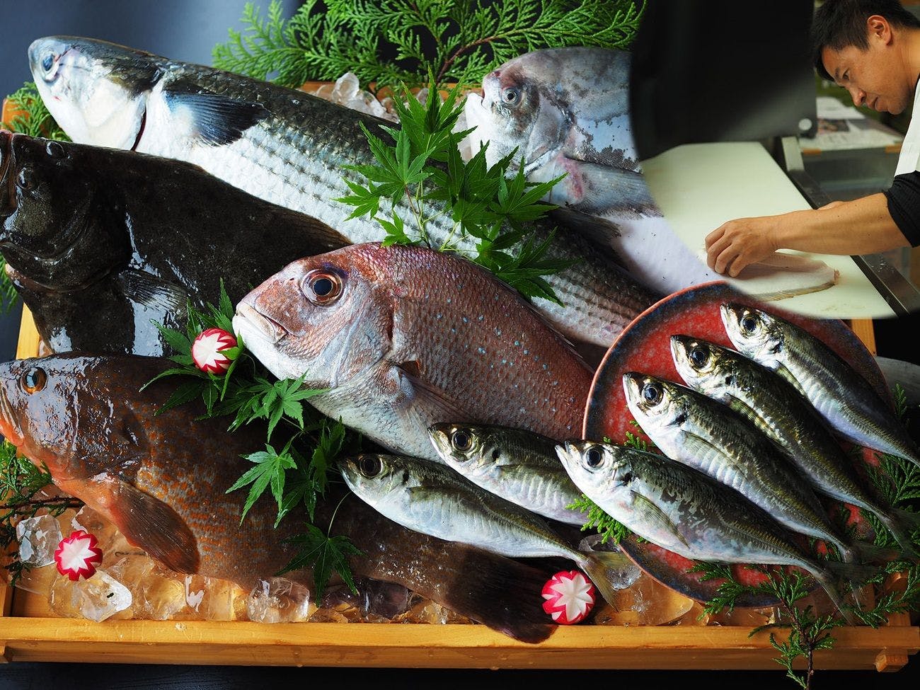 【ปลาท้องถิ่นพรีเมียม】ชุดอาหารซาชิมิสด