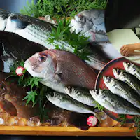 【ปลาท้องถิ่นพรีเมียม】ชุดอาหารซาชิมิสด