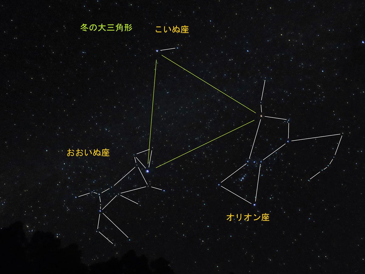 *【별 소개】