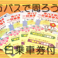 Tiket bus kota satu hari♪