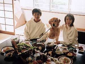 您可以與狗狗一起用餐。