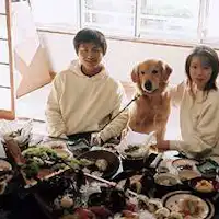 您可以與狗狗一起用餐。