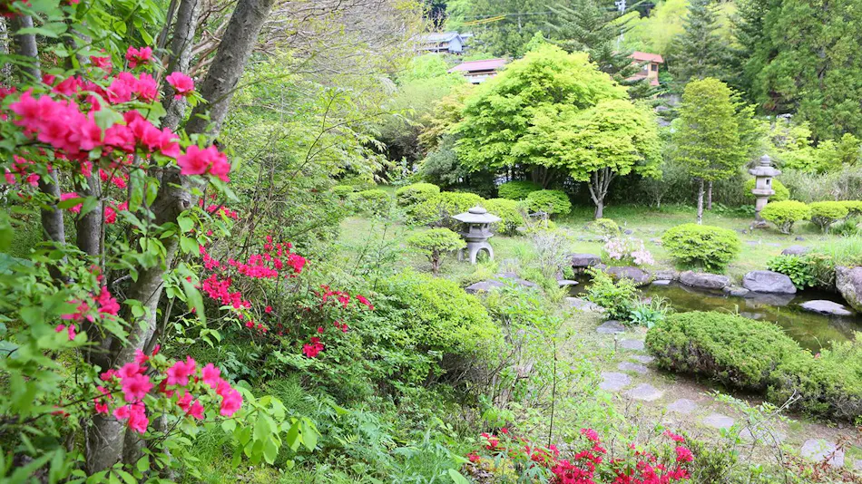 Ooedo Onsen Monogatari Shinshukakeyu