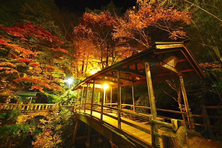 大江戸温泉物語 鹿教湯温泉 鹿教湯 宿泊予約なら Yahoo トラベル 大江戸温泉物語 鹿教湯温泉 鹿教湯 宿泊予約なら Yahoo トラベル