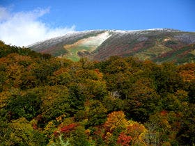 ロッヂやつなみ