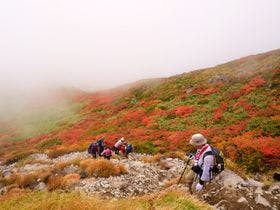 ロッヂやつなみ
