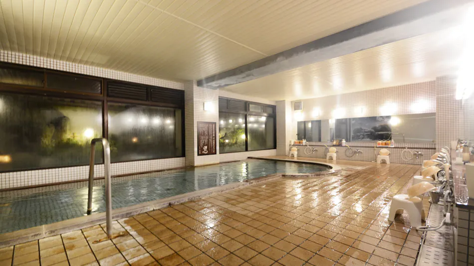 Yudanaka Shibu Onsenkyo Seseragi no Yado Hotel Hoshikawakan