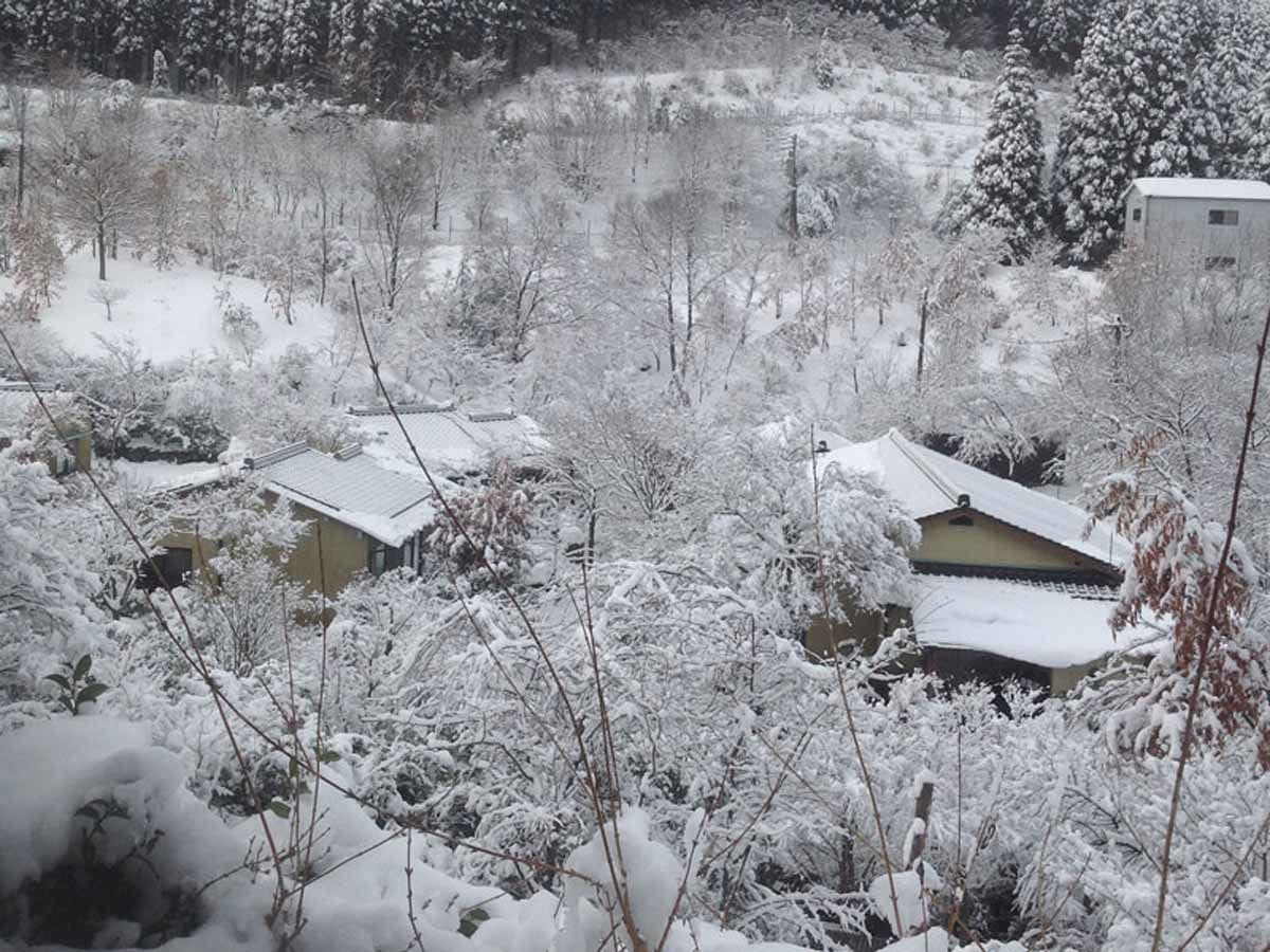 Minshuku Suibun Village