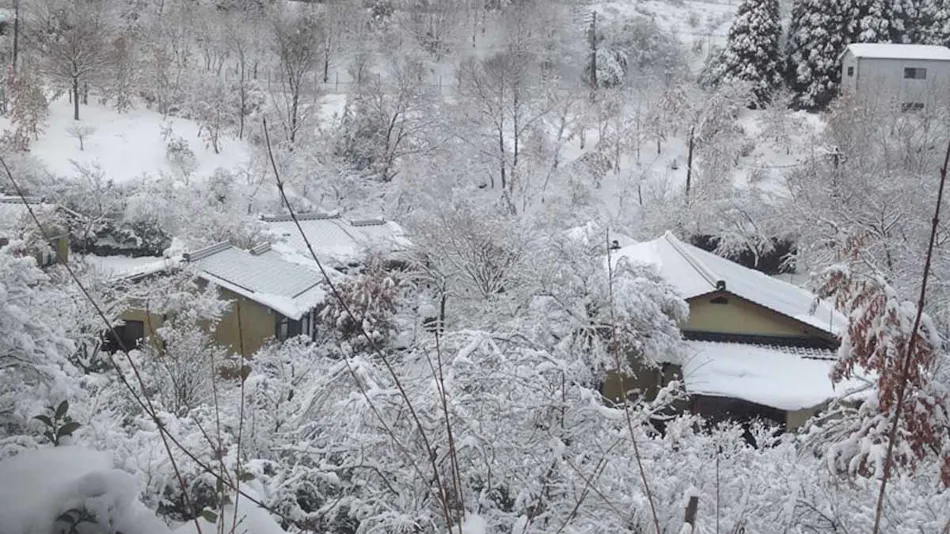 Minshuku Suibun Village
