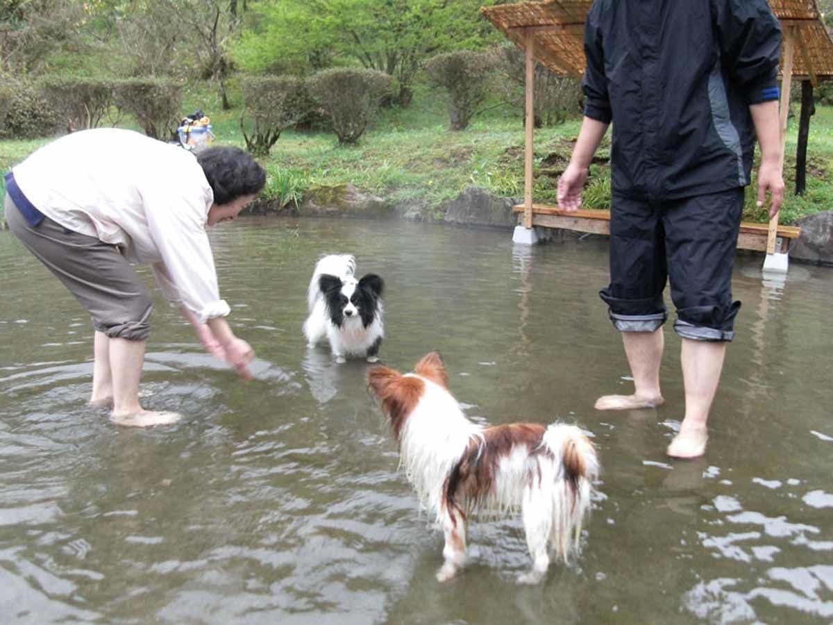 Minshuku Suibun Village