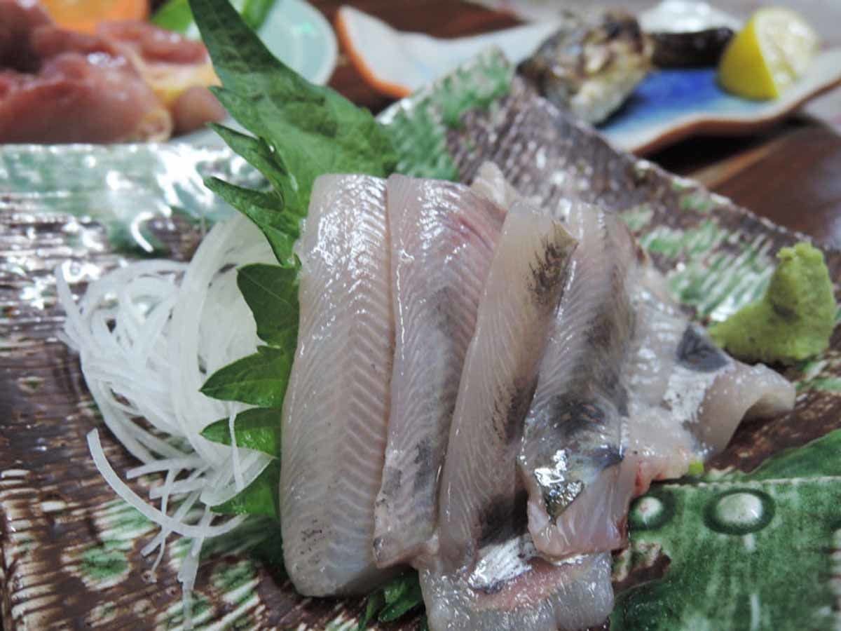 Minshuku Suibun Village