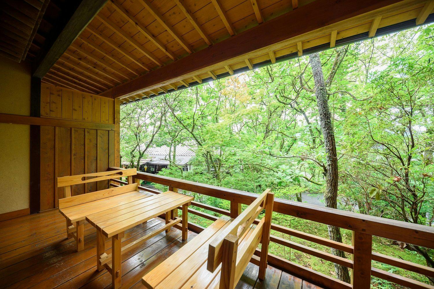 Mountain Hotel Musouen