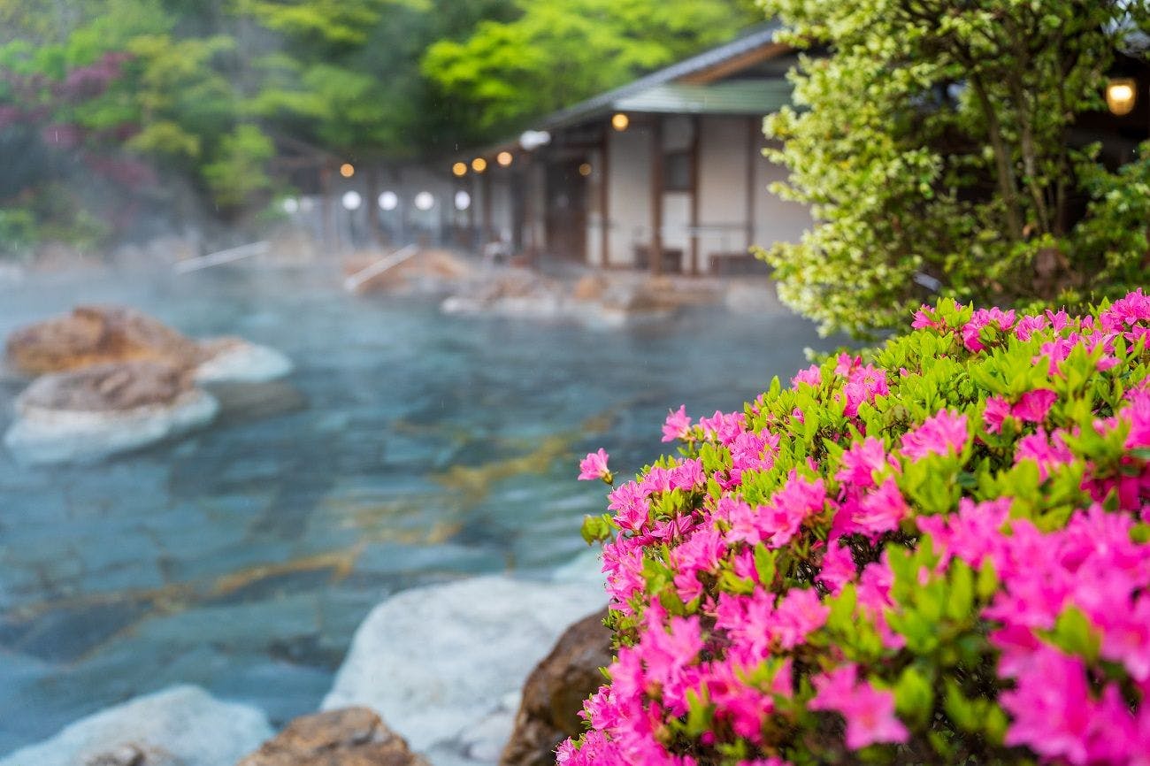 Mountain Hotel Musouen