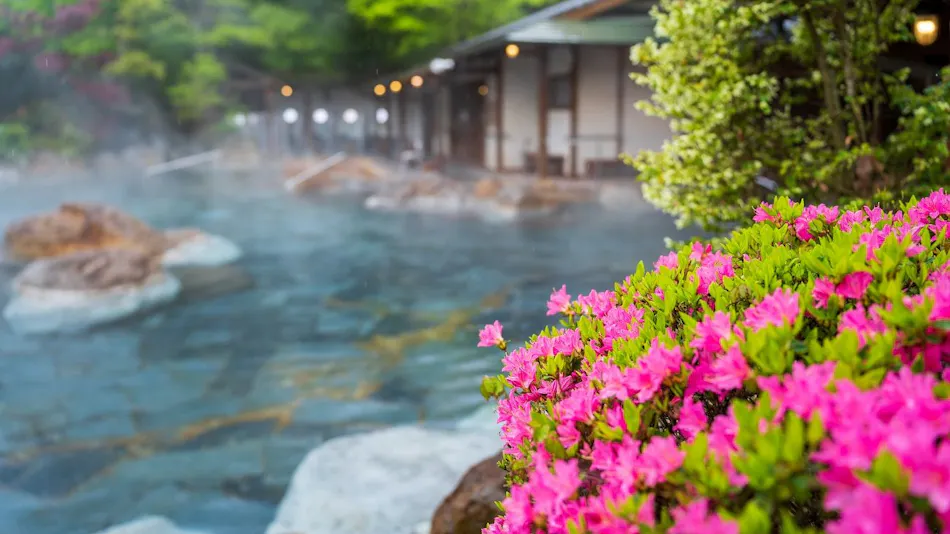 Mountain Hotel Musouen