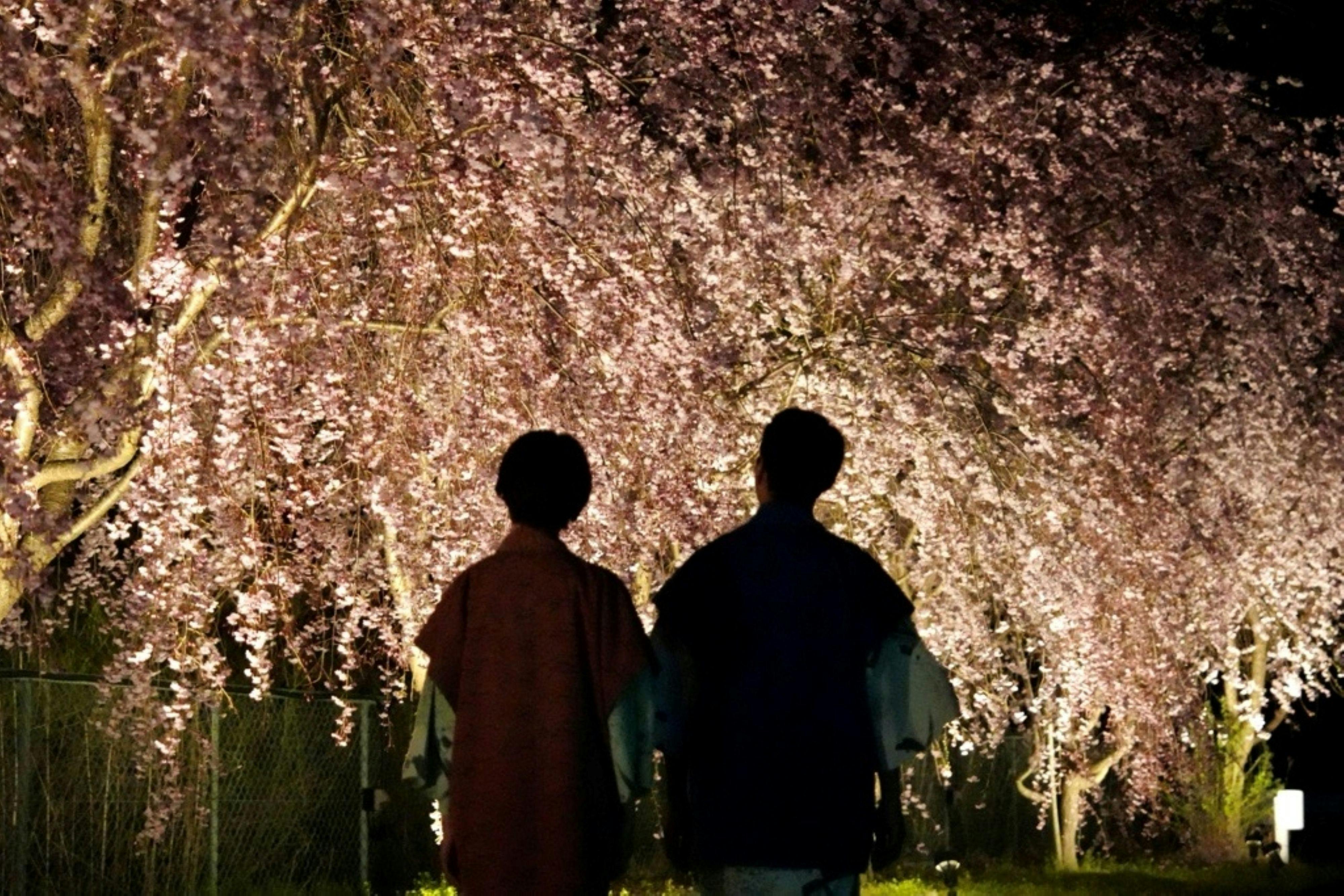 Nunobiki Onsen Komoro