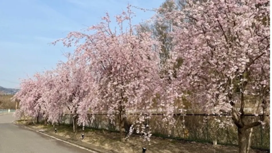 Nunobiki Onsen Komoro