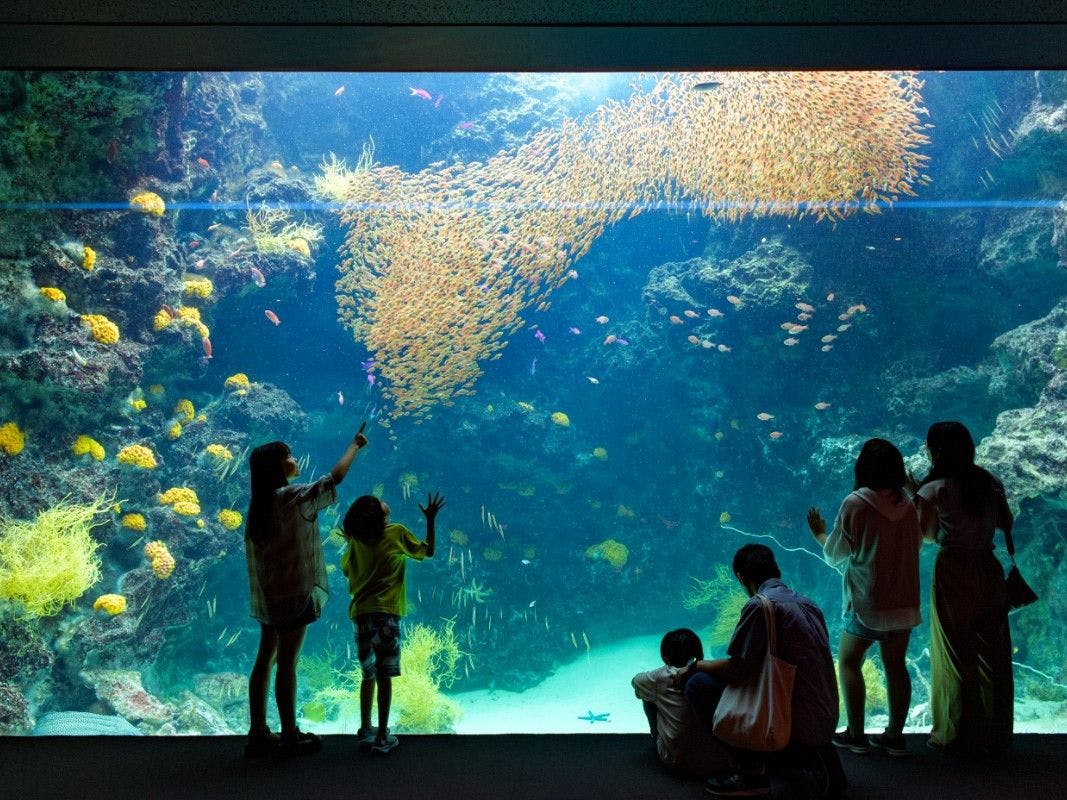 아쿠아마린 후쿠시마 *이미지