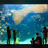 아쿠아마린 후쿠시마 *이미지