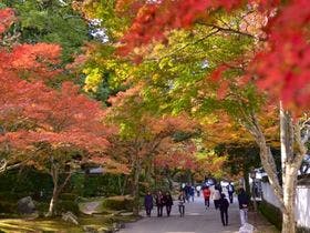 割烹旅館　白為旅館