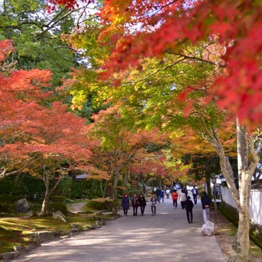 Kappo Ryokan Shiratame Ryokan