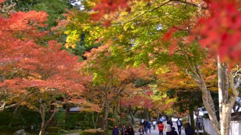 Kappo Ryokan Shiratame Ryokan