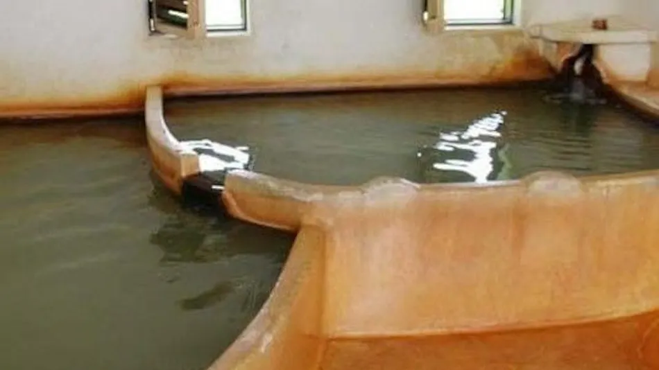 Daimaru Ryokan