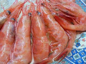 かに・荒磯料理　志麻