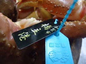 かに・荒磯料理　志麻