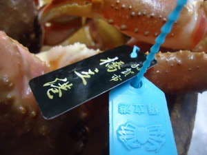 这是桥立港品牌的【标签】。