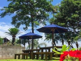 Ｔｈｅ　Ｌｉｔｔｌｅ　Ｇａｒｄｅｎ　ザ・リトルガーデン