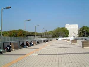 สะพานแพนด้า