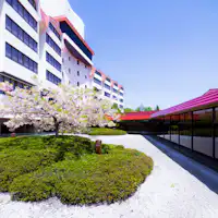 ดอกซากุระสองชั้นในลาน